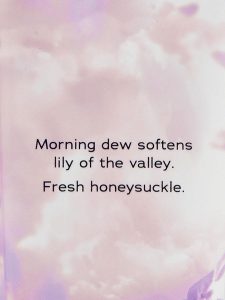 لوسیون بدن Victoria’s Secret مدل Floral Morning Dream