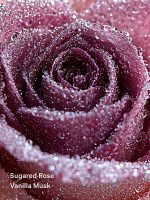بادی میست Victoria’s Secret مدل Cashmere Fleur