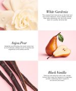 دکانت 10میل عطر Victoria's Secret مدل Tease - Image 2